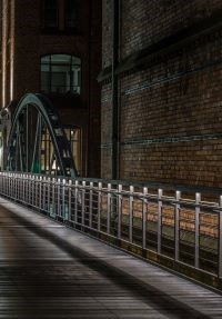 Мистер Тафт Уличный кот и другие