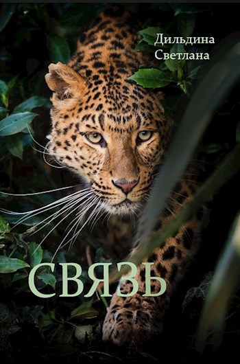 Связь