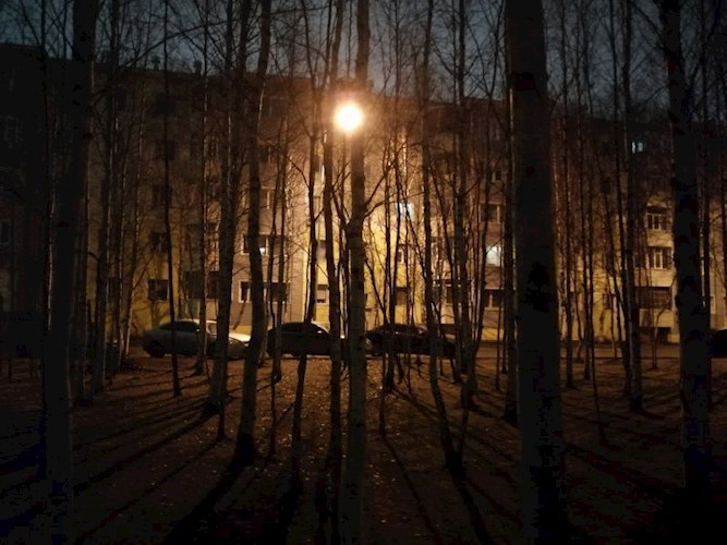 3052 год Сборник из одного стиха