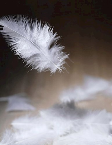 Пуховый дождь