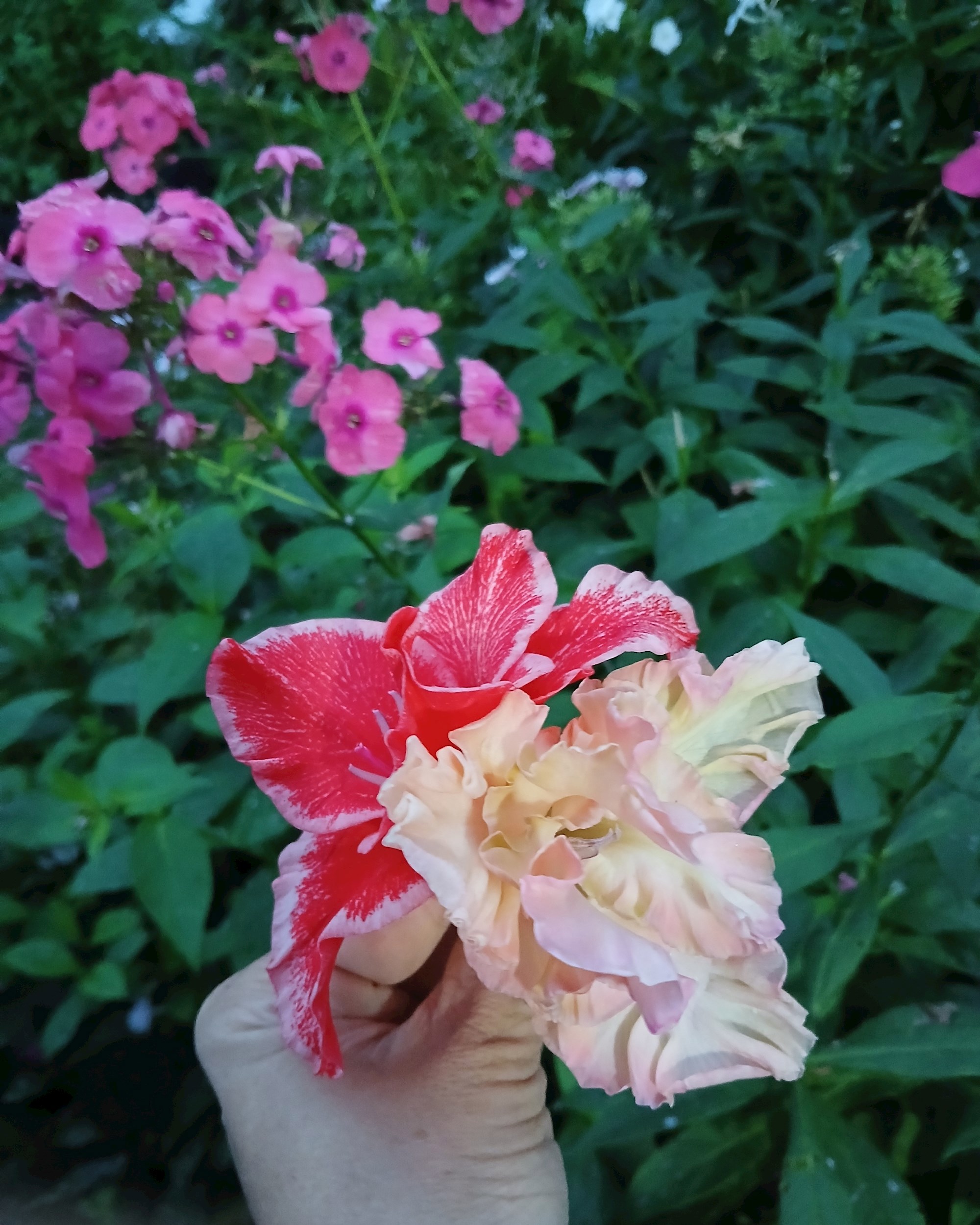 Шелковый путь Марго