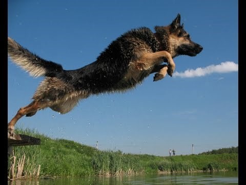 Рядом с эволюцией