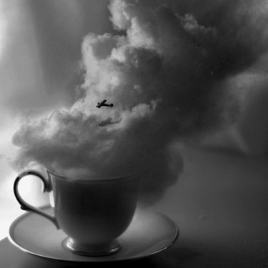 Дневники космонавта