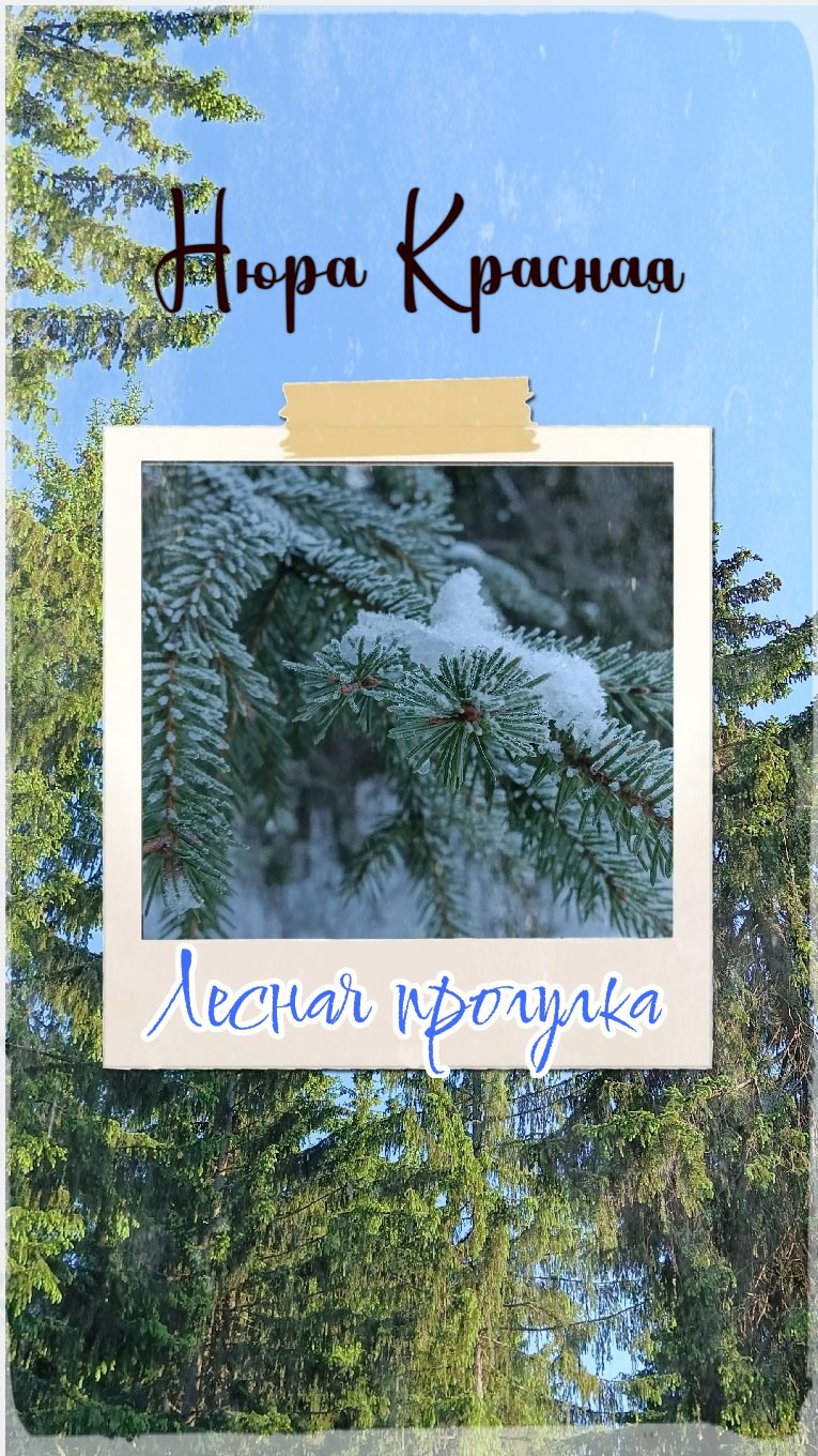 Лесная прогулка