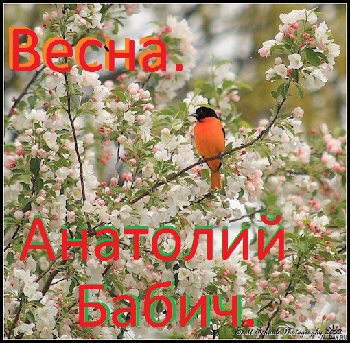 Весна.