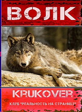 Волк
