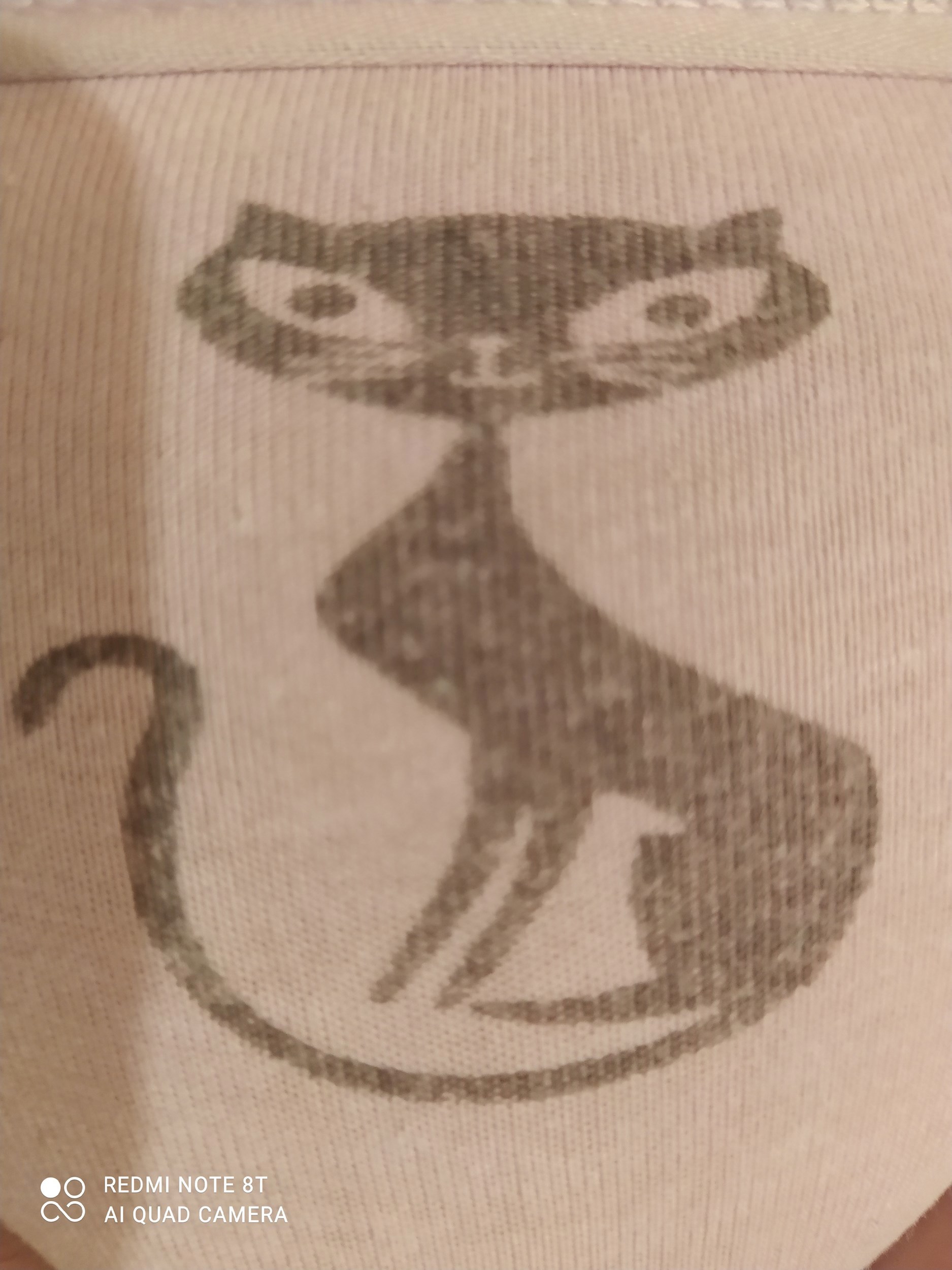 Все дело в кошках...