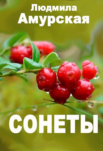 Сонеты