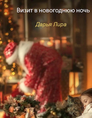 Визит в новогоднюю ночь