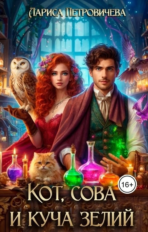 Кот, сова и куча зелий