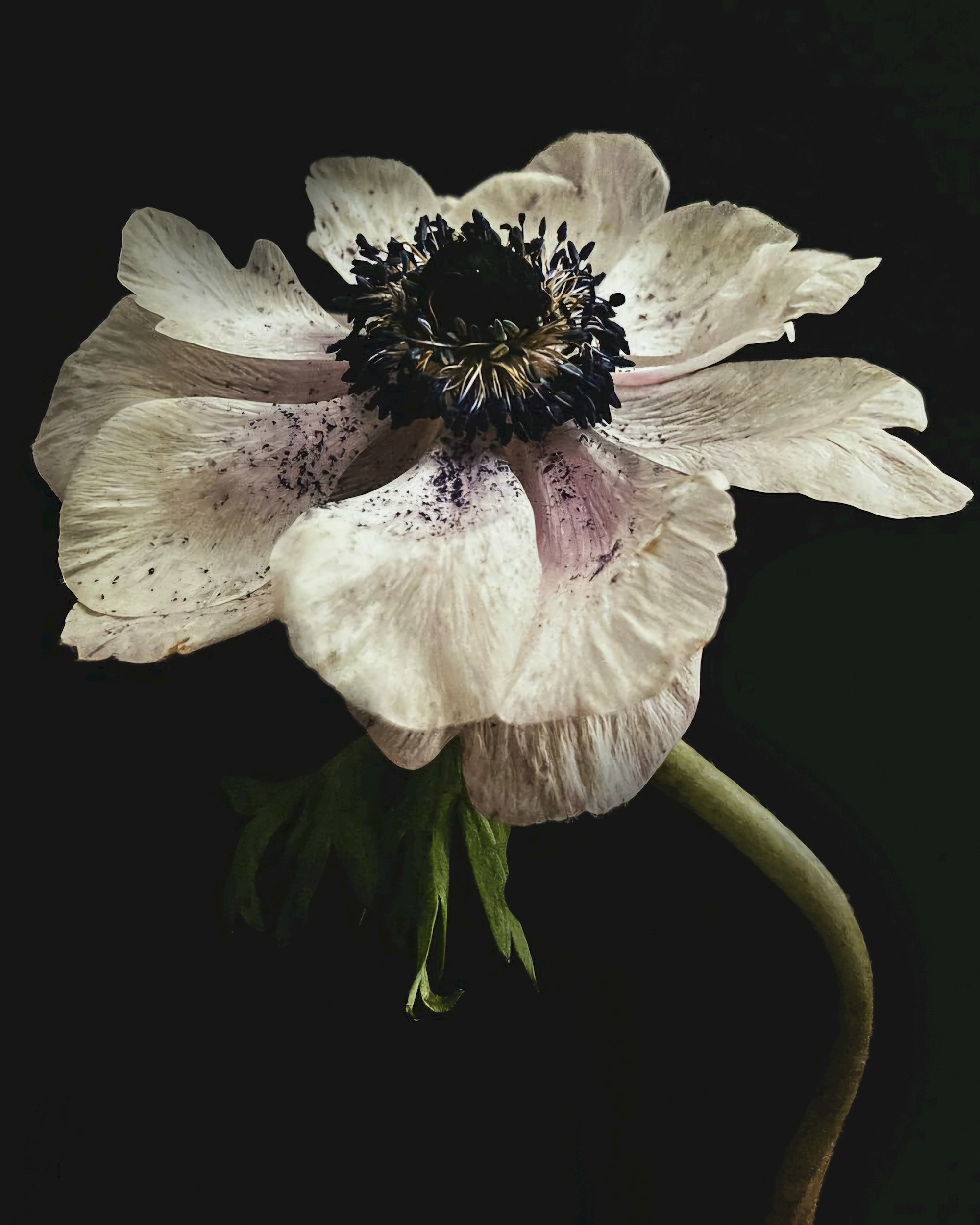 Пятеро в подземелье