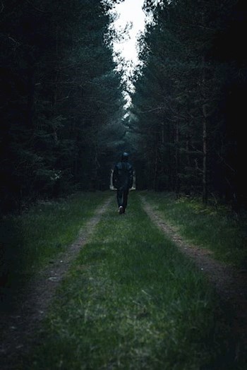 "Anti-ghost"