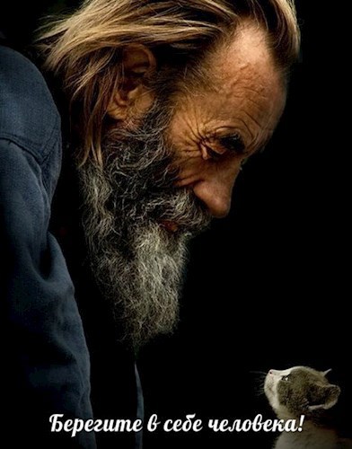 Сборник стихотворений