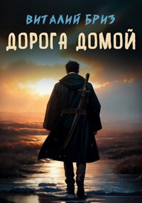 Дорога домой