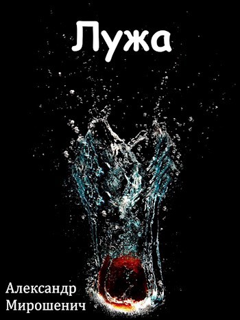 Лужа