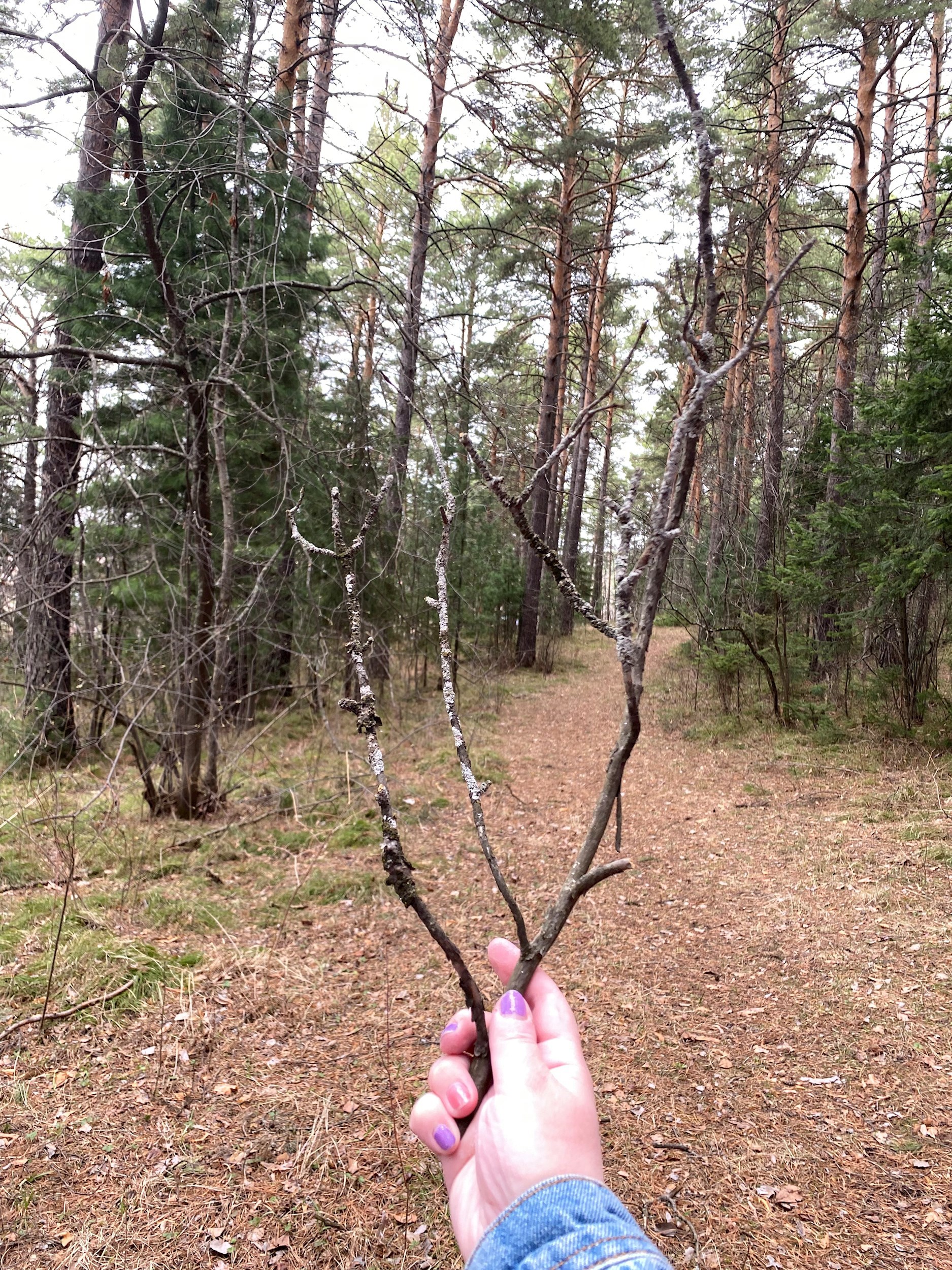 Плетёная птица