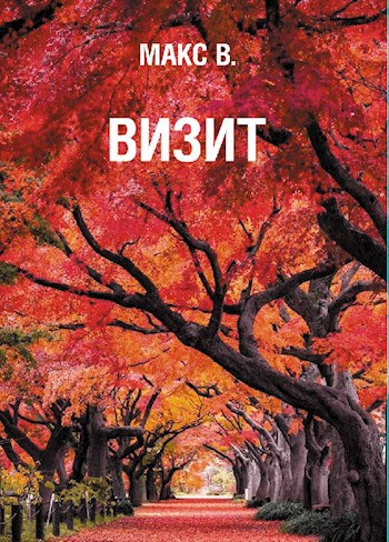 Визит