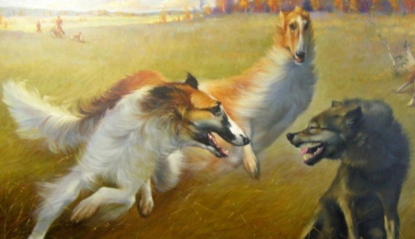 Собачий гон