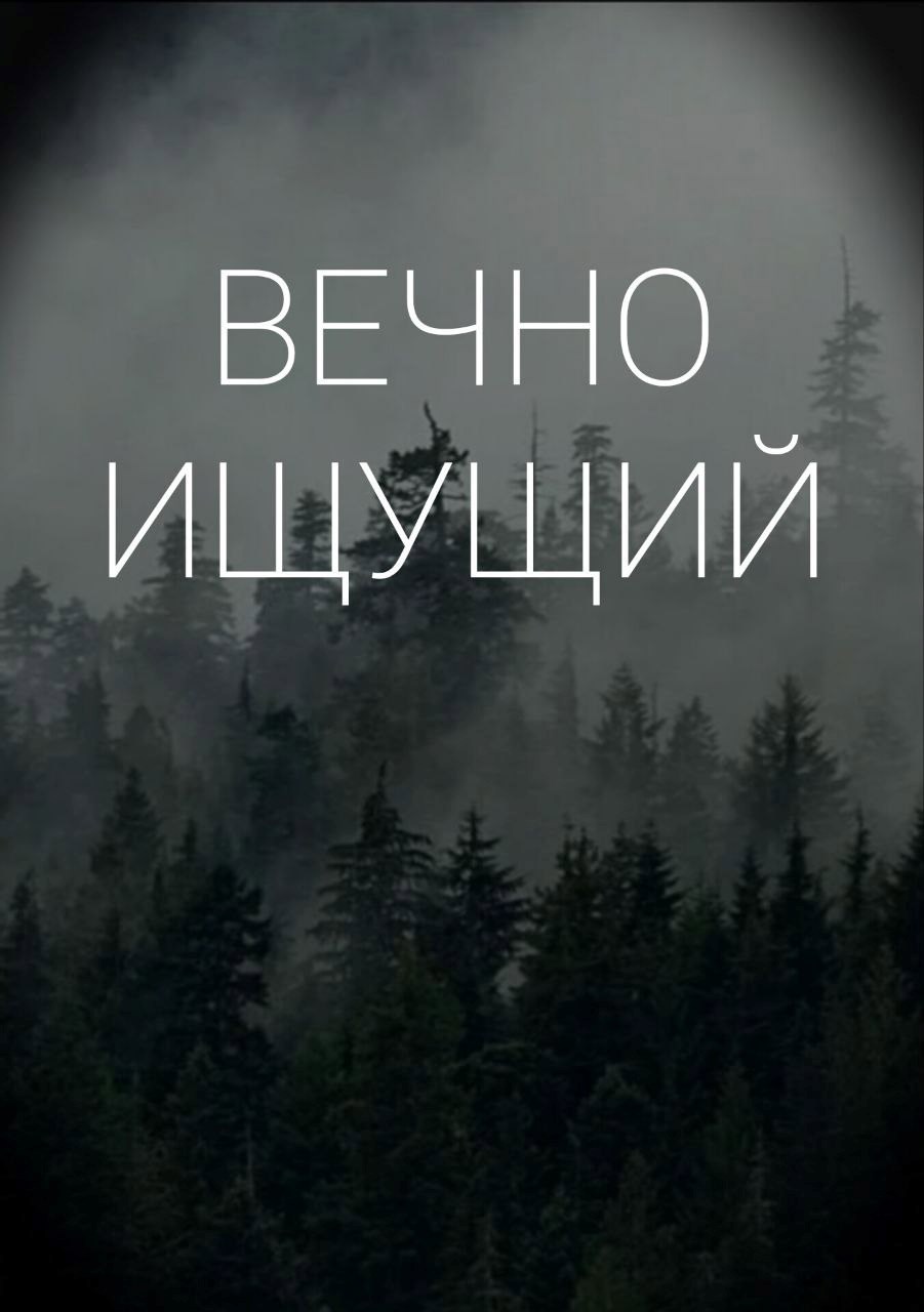 Вечно ищущий