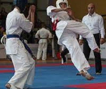 Ашихара каратэ школа реального поединка