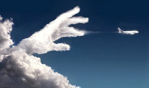 Трое в одном самолёте, не считая стюардесс