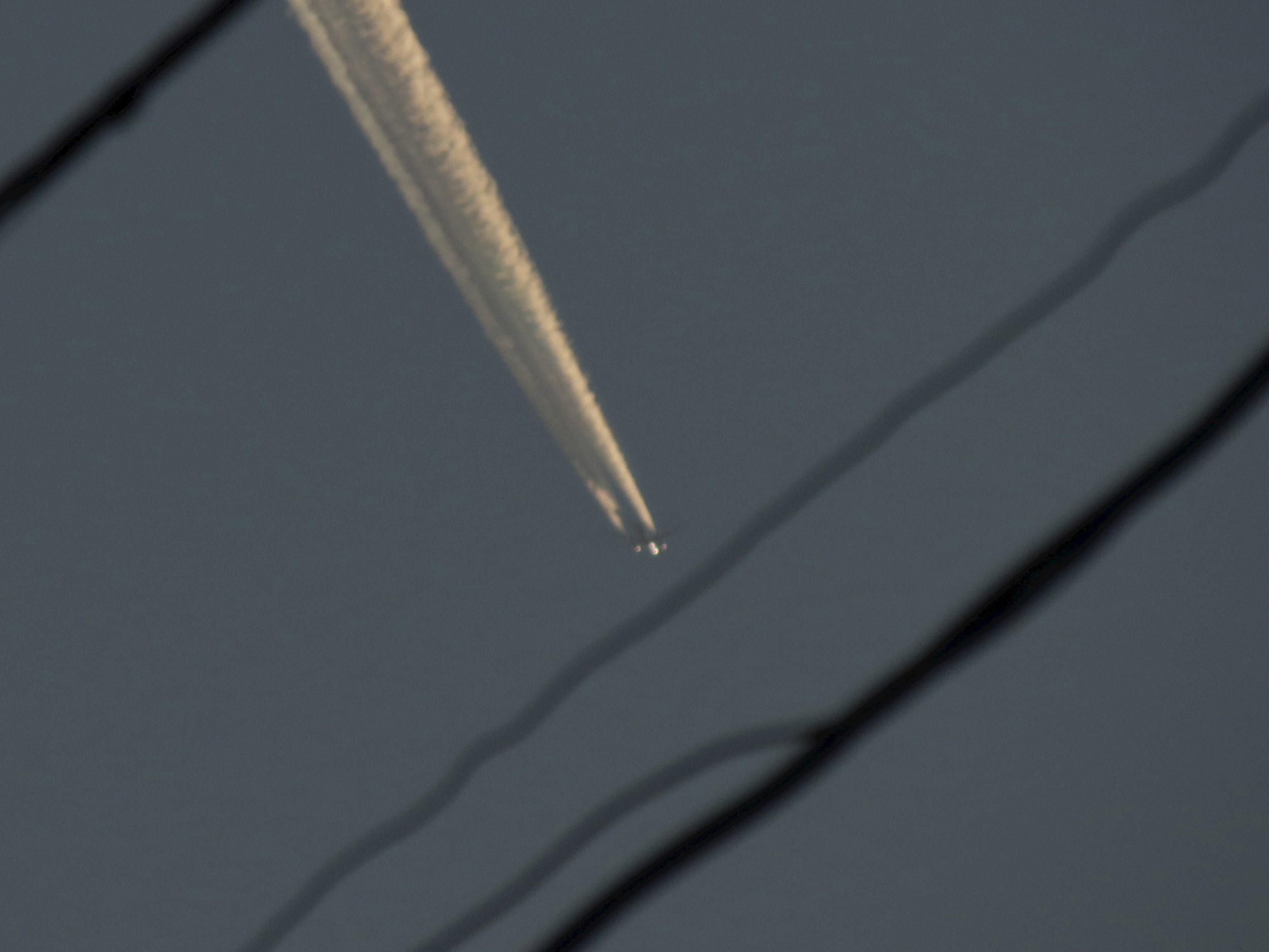 Волонтёрская любовь