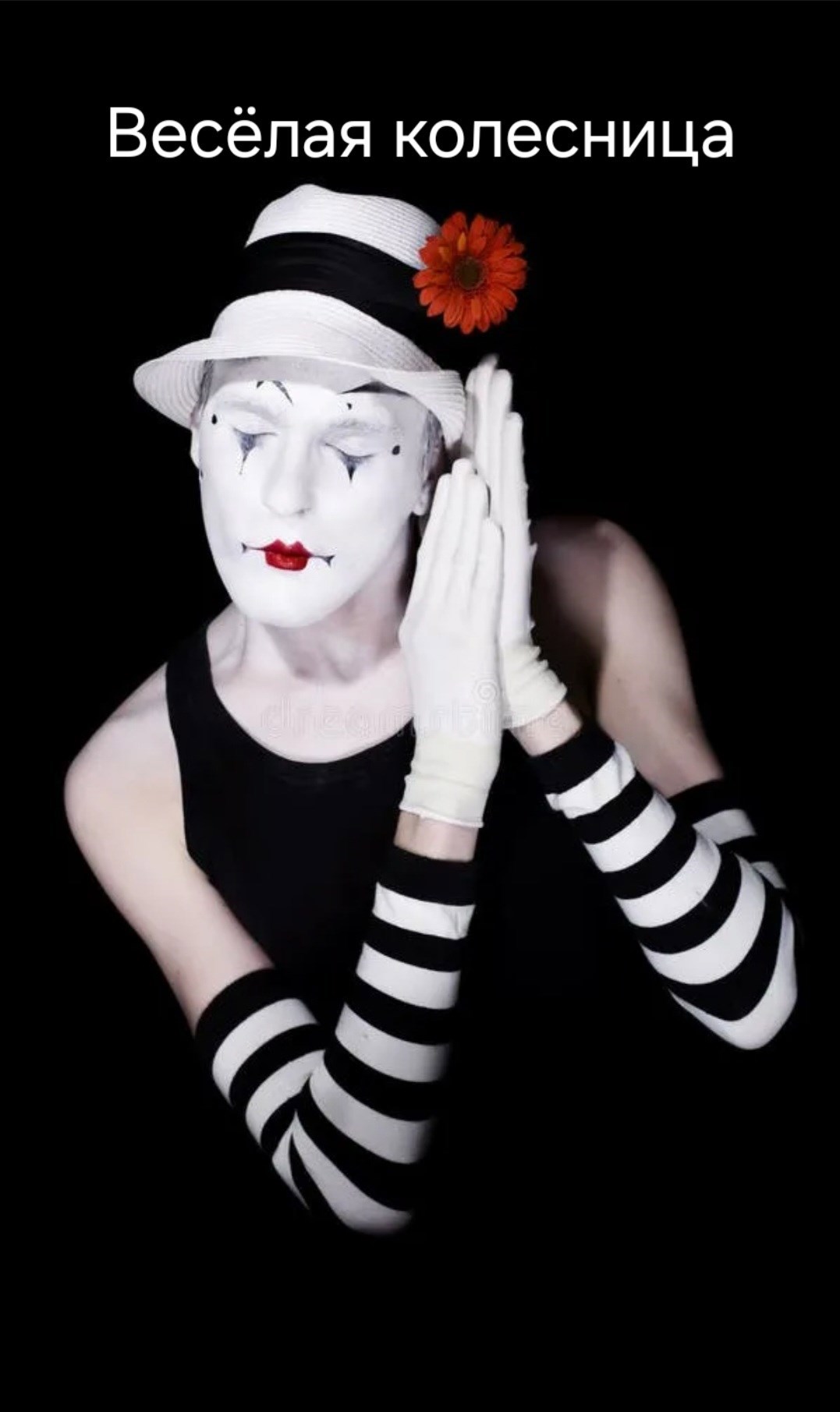 Весёлая колесница