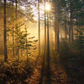 Зона Отчуждения