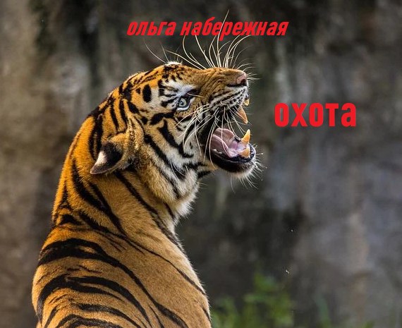 Охота