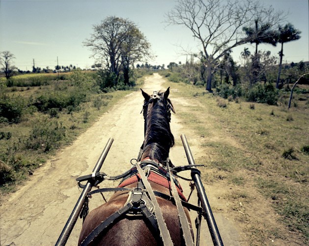 Назад в Смердищево
