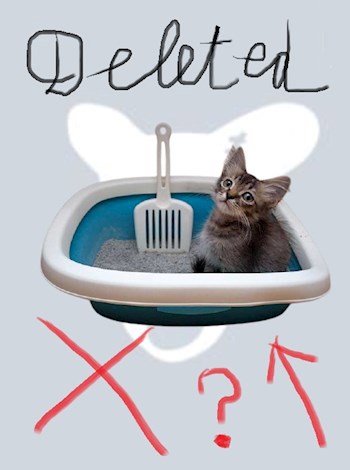 Почему красотки якобы удаляются из соцсетей?