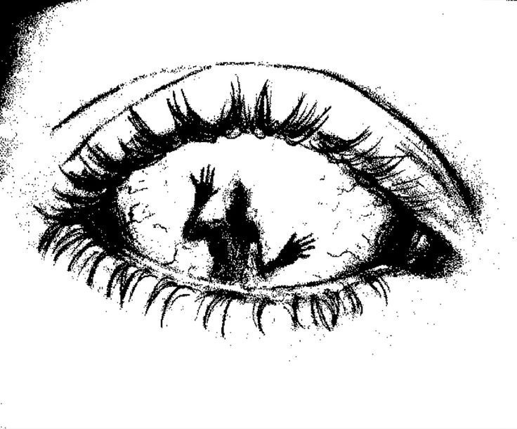 знакомые насекомые