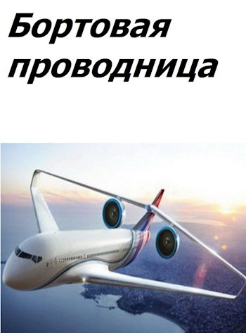 Бортовая проводница
