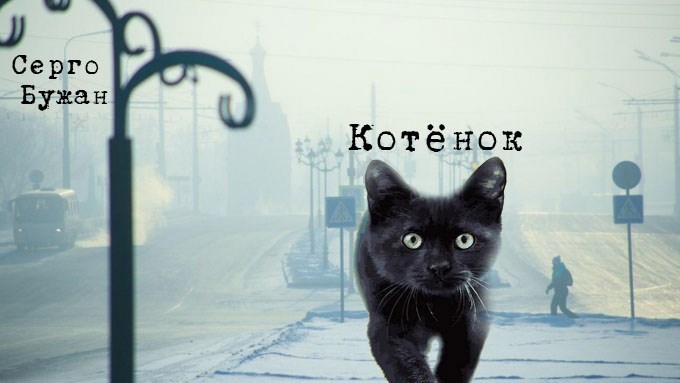 Котёнок