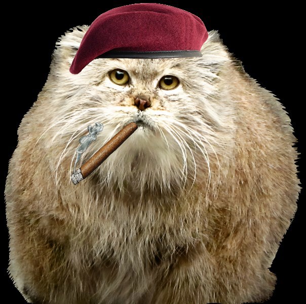 Великая Революция Манула Свэнчика