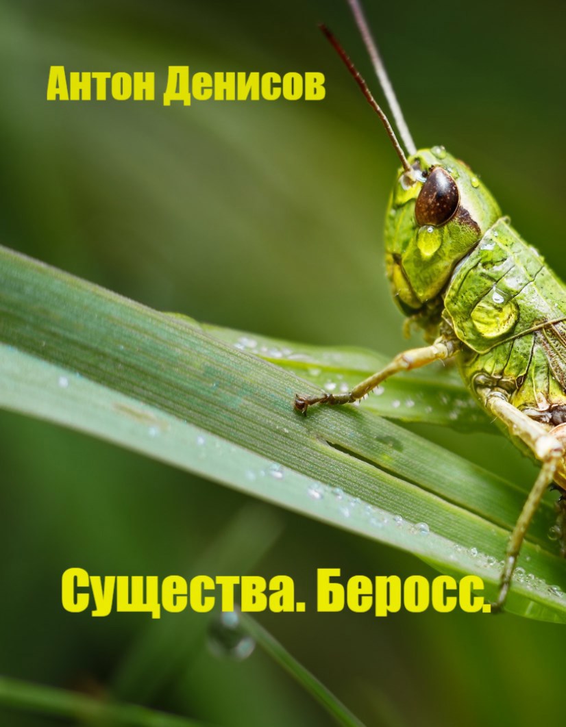 Существа. Беросс