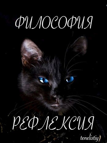 Философия Рефлексия