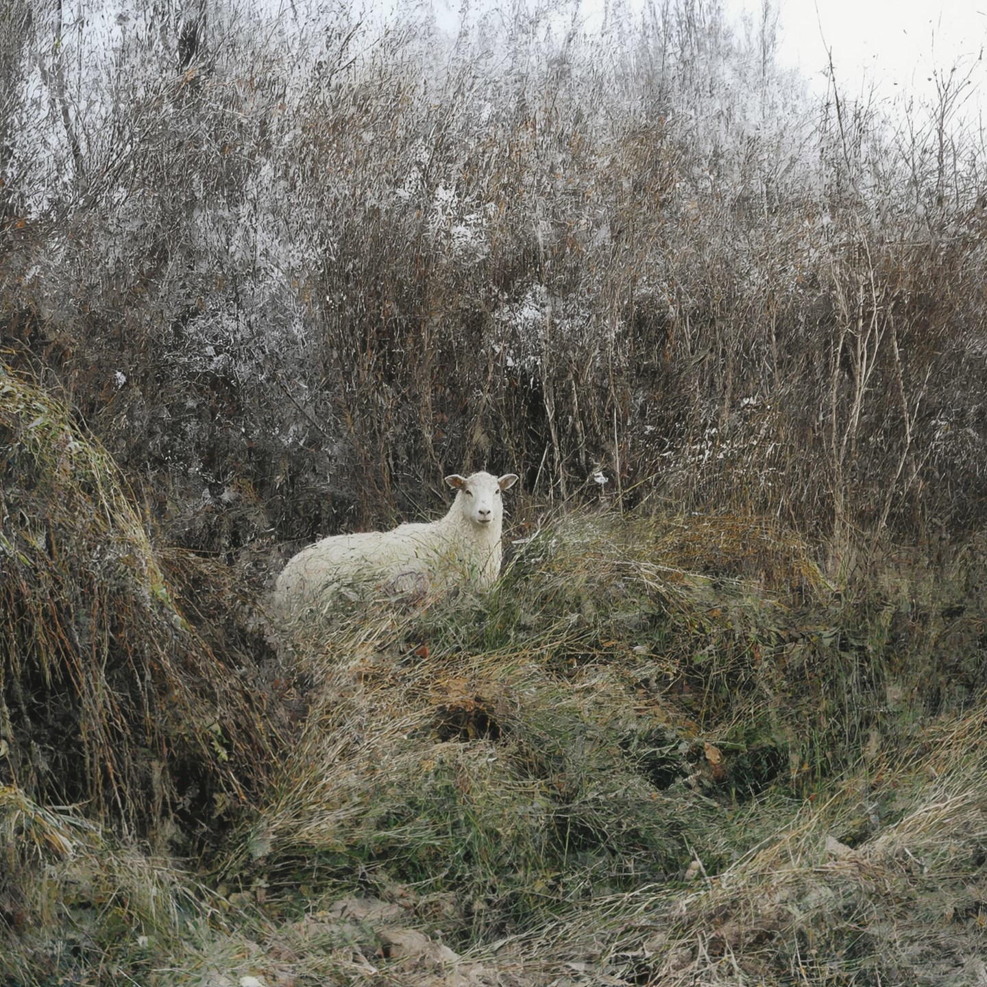 О тирании горизонта почему мы разучились блуждать