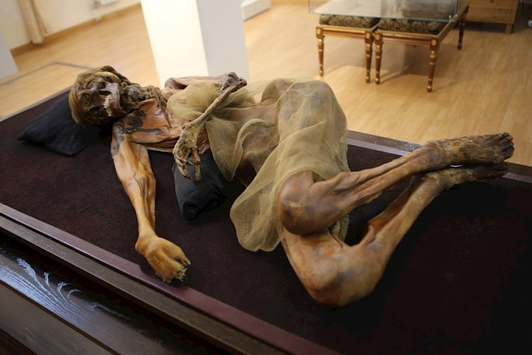 Сны Саргитая