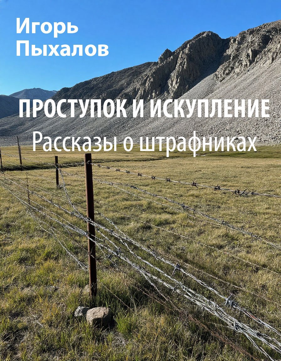 Проступок и искупление. Рассказы о штрафниках
