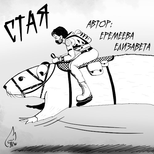 Стая