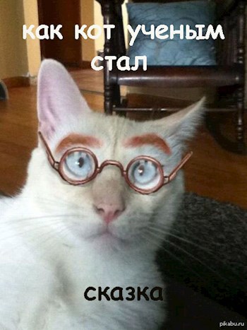 Как кот ученым стал
