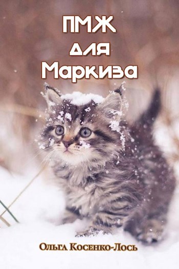 Пмж для Маркиза