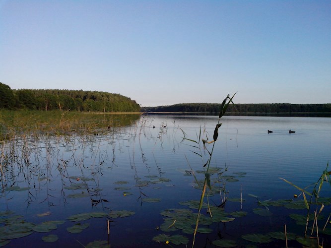 Рыбалка