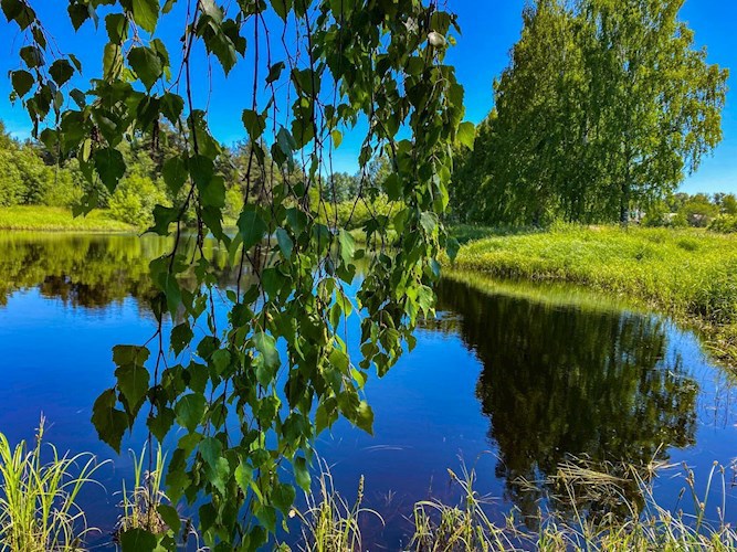 Курортный роман обернувшийся свадьбой.