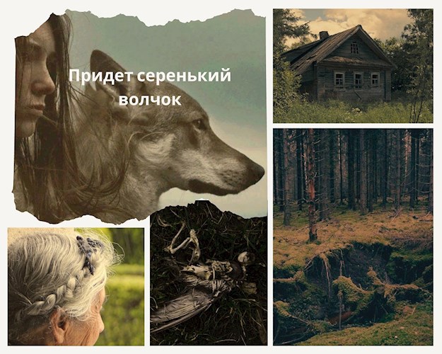 Придёт серенький волчок...