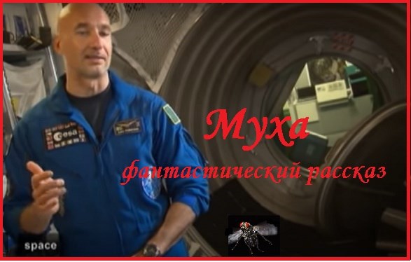 Муха