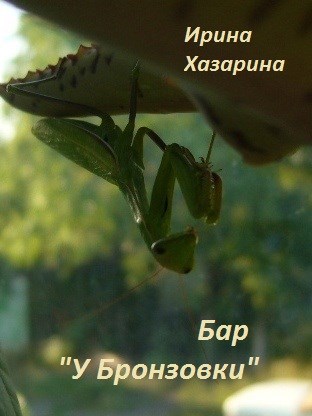 Бар У Бронзовки
