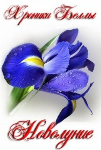 Хроники Беллы. Новолуние