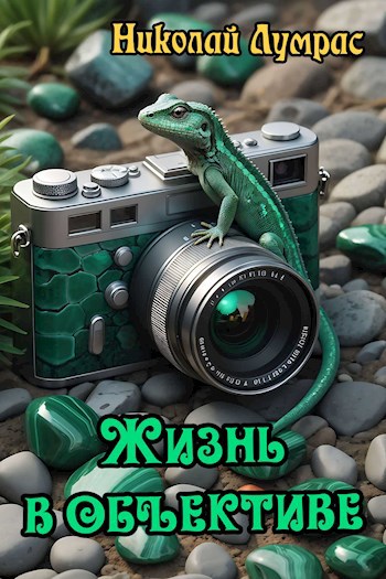 Жизнь в объективе